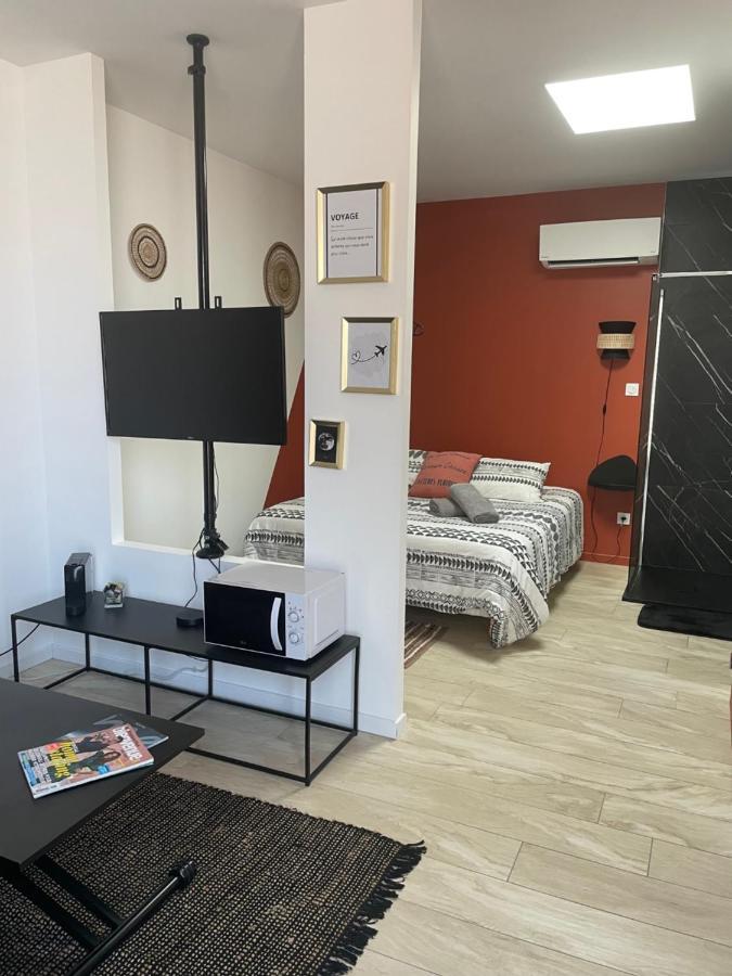 Studio Cosy Tt Confort Proche Aeroport Colombier-Saugnieu Bagian luar foto