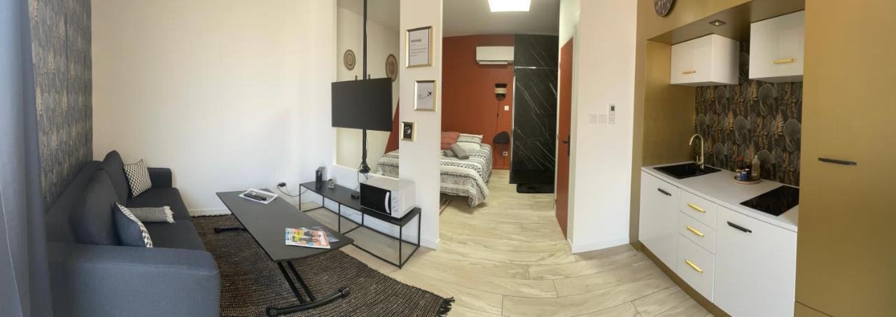 Studio Cosy Tt Confort Proche Aeroport Colombier-Saugnieu Bagian luar foto